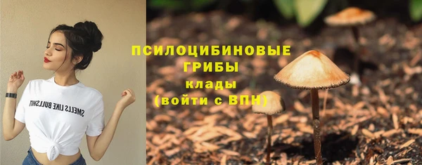 спиды Богданович