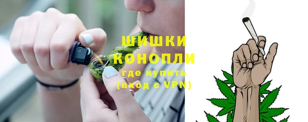 спиды Богданович