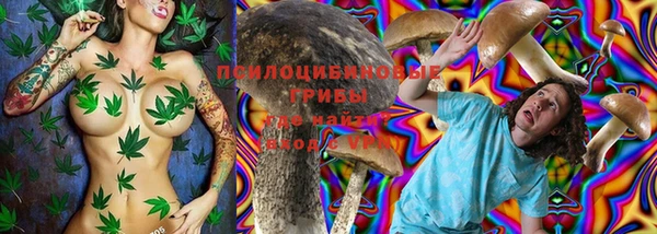 сатива Белоозёрский