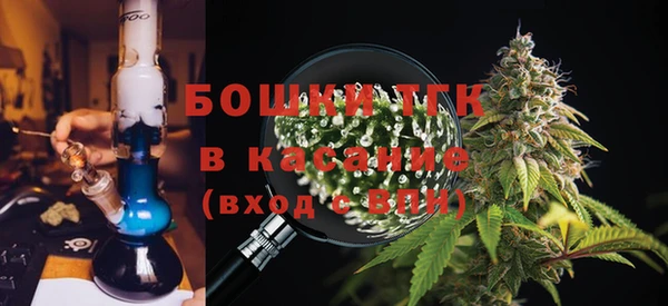 сатива Белоозёрский