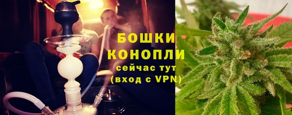 спиды Богданович