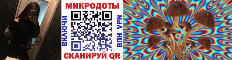 Галлюциногенные грибы Cubensis mega онион Болгар